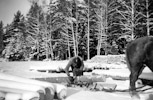 Före ombyggnation 1920